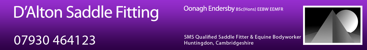 D'Alton Saddle Fitting - Huntingdon, Cambridgeshire